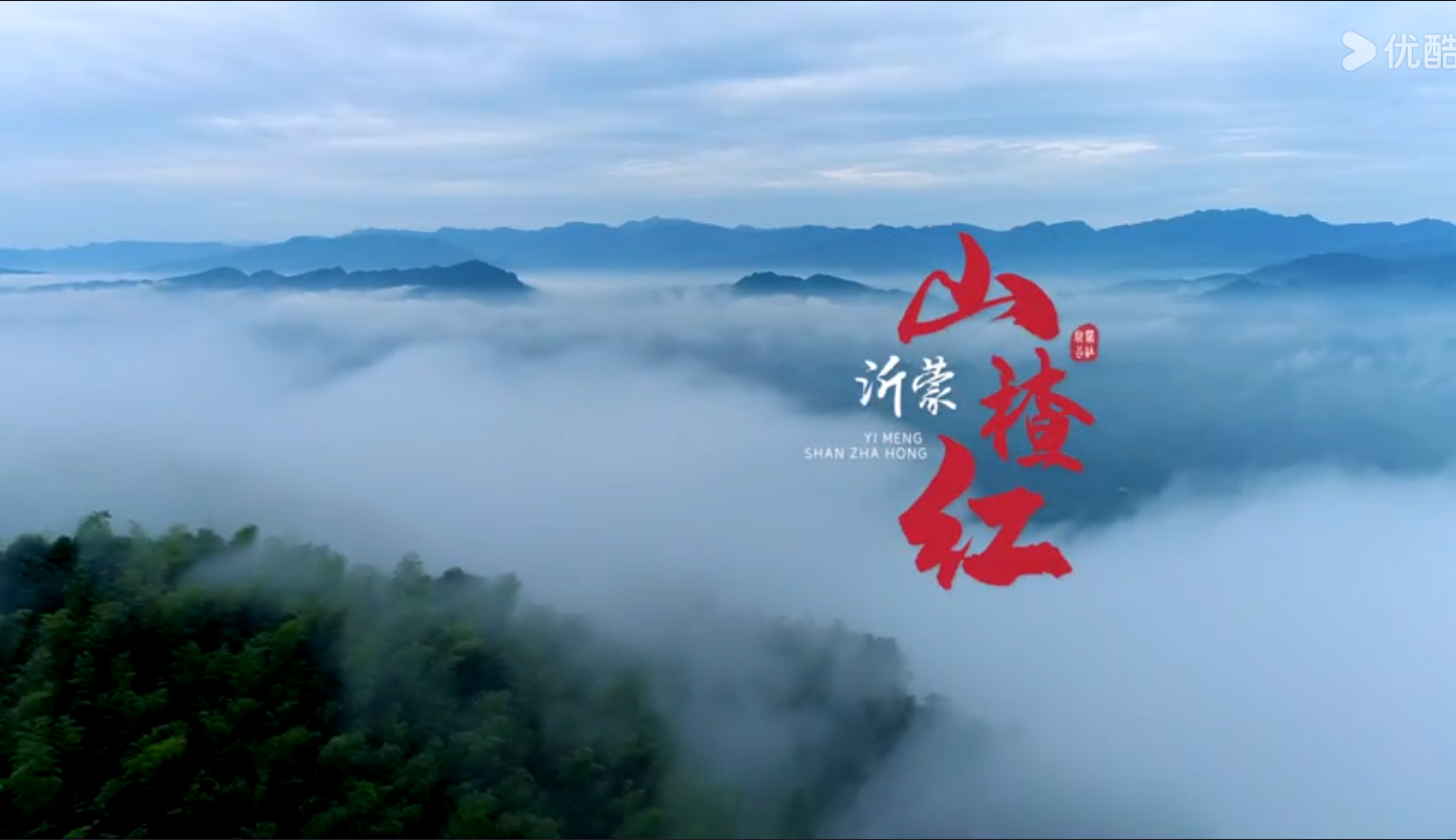 ɽ髺